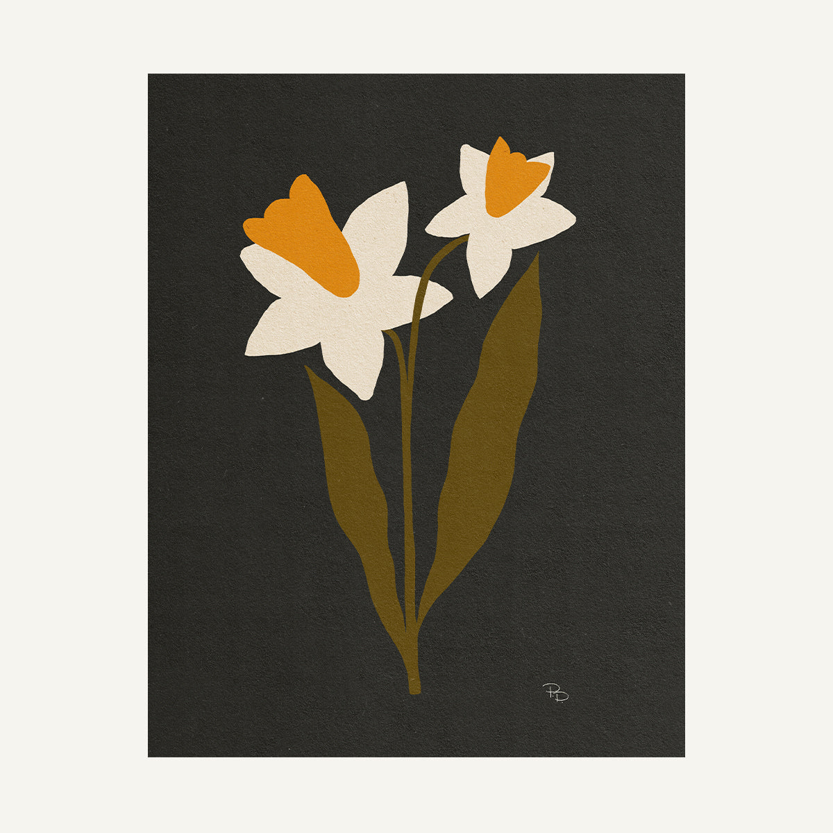 December / Narcissus