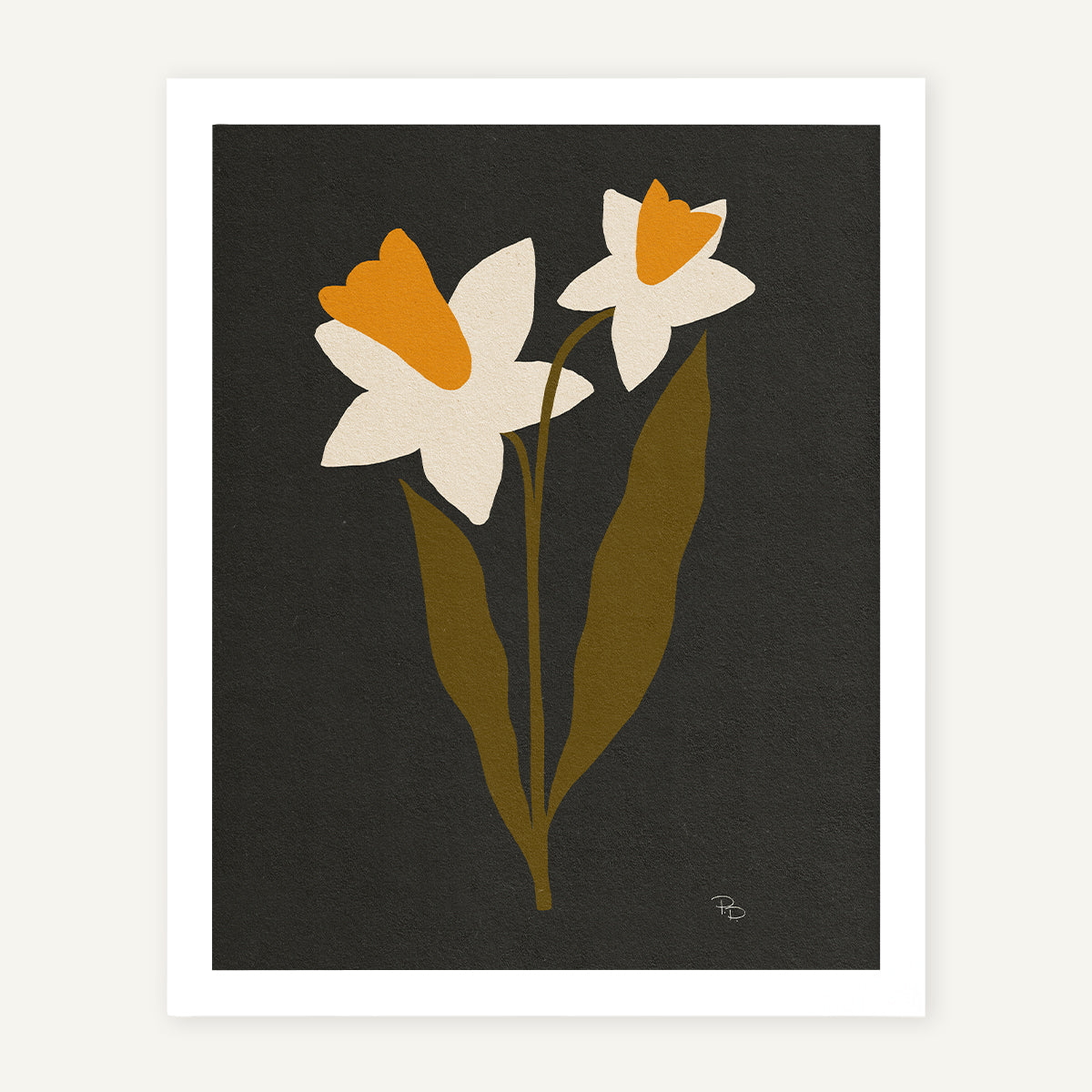 December / Narcissus