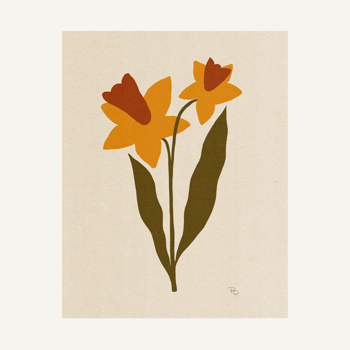 December / Narcissus