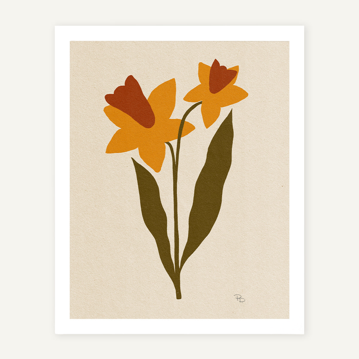 December / Narcissus